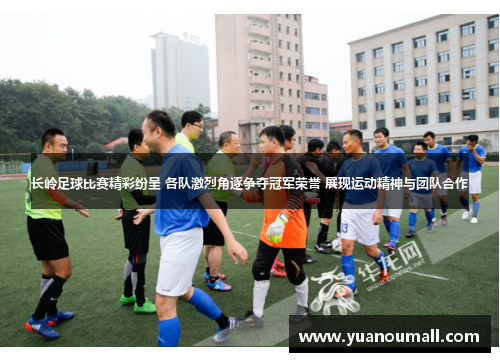长岭足球比赛精彩纷呈 各队激烈角逐争夺冠军荣誉 展现运动精神与团队合作