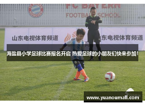 海盐县小学足球比赛报名开启 热爱足球的小朋友们快来参加！